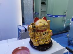 -蕾特恩专业祛痘.面部皮肤管理