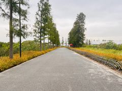 -广富林郊野公园