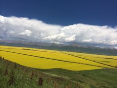 -青海湖国家重点风景名胜区