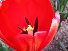 -长春公园(普阳街道)