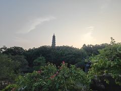 -顺峰山公园