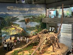 -自贡恐龙博物馆