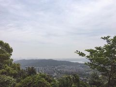 -浙江大学(玉泉校区)