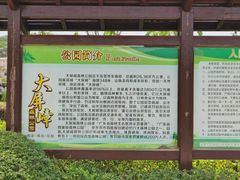 -大屏嶂森林公园
