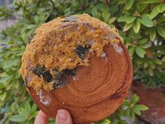 爆浆年轮-甜嘟嘟烘焙坊(舒城路店)