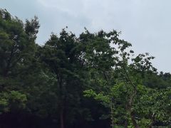 -华阳洞风景区