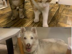 -小时光咖啡馆(北锣鼓巷店)