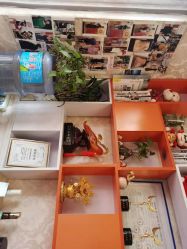 -瑞丝澜国际瘦身