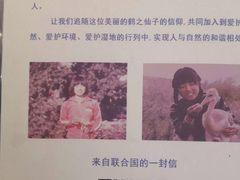 -盐城丹顶鹤湿地生态旅游区