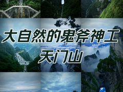 -张家界天门山国家森林公园