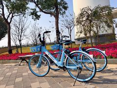 -上海海事大学(临港校区)