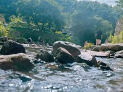 -北仑森林植物园