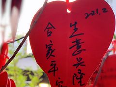 -静颐茶馆·素食(龙华店)