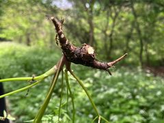 -南山风景名胜区