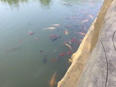 -泰安地下龙宫景区