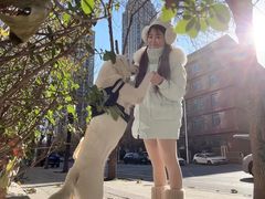 -天宠宠物医院24小时·急重症诊疗中心·全科·腔镜特色(和平分院)