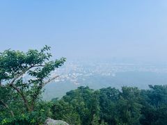 -紫金山山顶公园