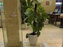 -大鸭梨烤鸭(房山店)