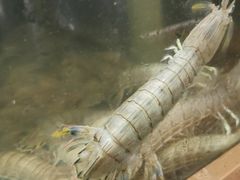 -良师门滨海人家·海鲜·家常菜(滨海城店)