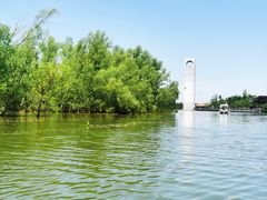 -东寨港红树林旅游区