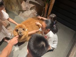 -造物庄园 萌宠纪(苏州湾歌林公园店)