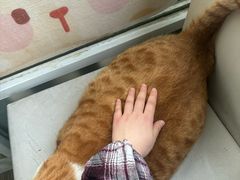 -小时光咖啡馆(北锣鼓巷店)
