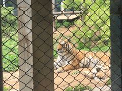 -大连森林动物园