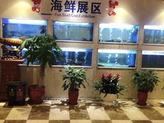 -阿英煲(凉城路店)