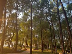 -东湖落雁景区