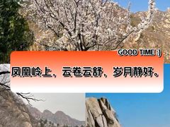 -北京凤凰岭