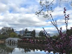 -黑龙潭公园