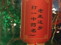 -郑州方特梦幻王国