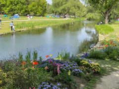 -上海共青森林公园