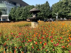 -辛亥革命博物院北区