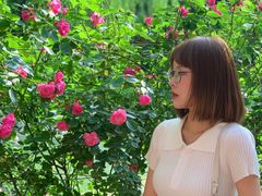 -西安市长乐公园