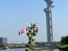 -北京奥林匹克公园