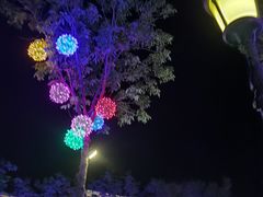 -国信南山温泉