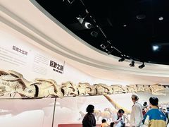 -自贡恐龙博物馆