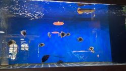 -青木造型HAIR·あおき髪を刈る潮人店