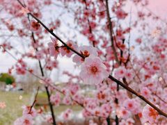 -广富林郊野公园