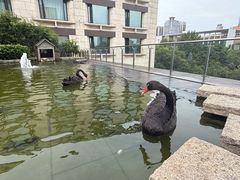 -南京圣和府邸豪华精选酒店