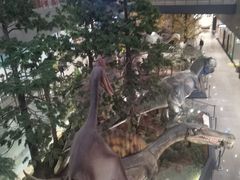 -湖南省地质博物馆