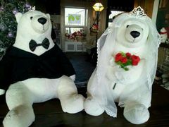 android_upload_pic-济州岛泰迪熊博物馆