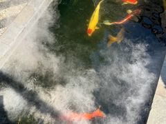 -西安市广仁寺