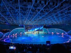 -海合安青岛极地海洋公园
