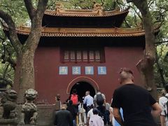 -普陀山风景名胜区-法雨禅寺
