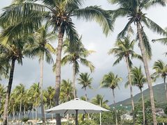 -三亚亚龙湾金棕榈度假酒店