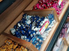 -荷兰花海