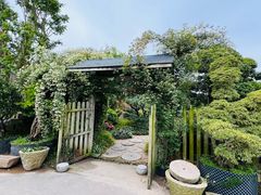 -龙大花卉苗木市场