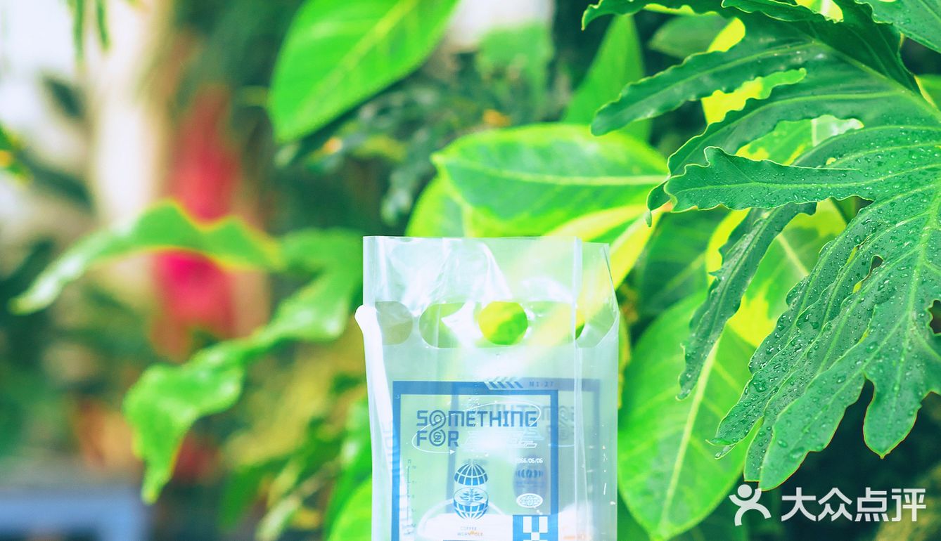 宝藏咖啡馆探店 | 来Something For避暑🌲🌲